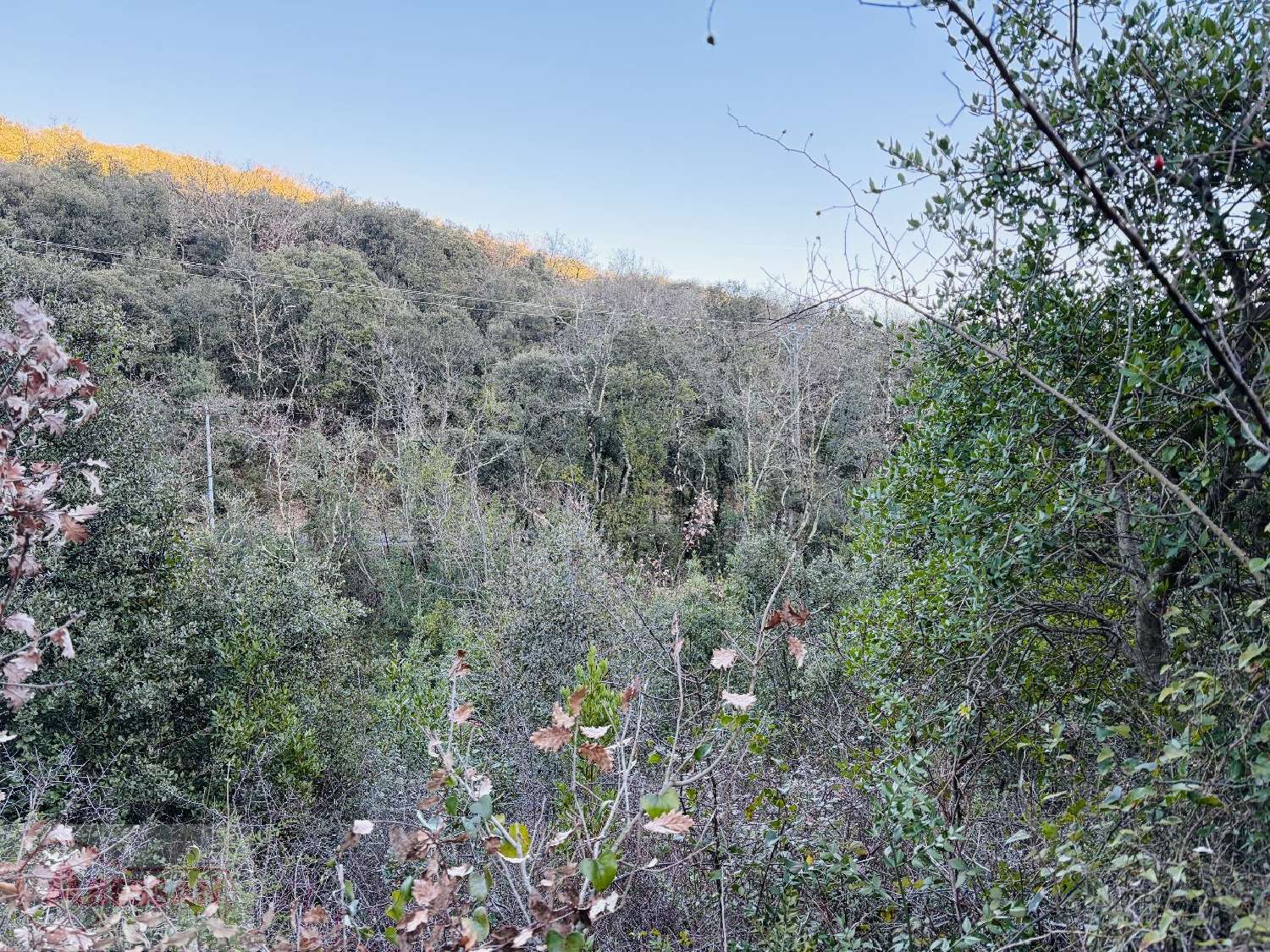  à vendre terrain Saint-Martin-de-Valgalgues Gard 8