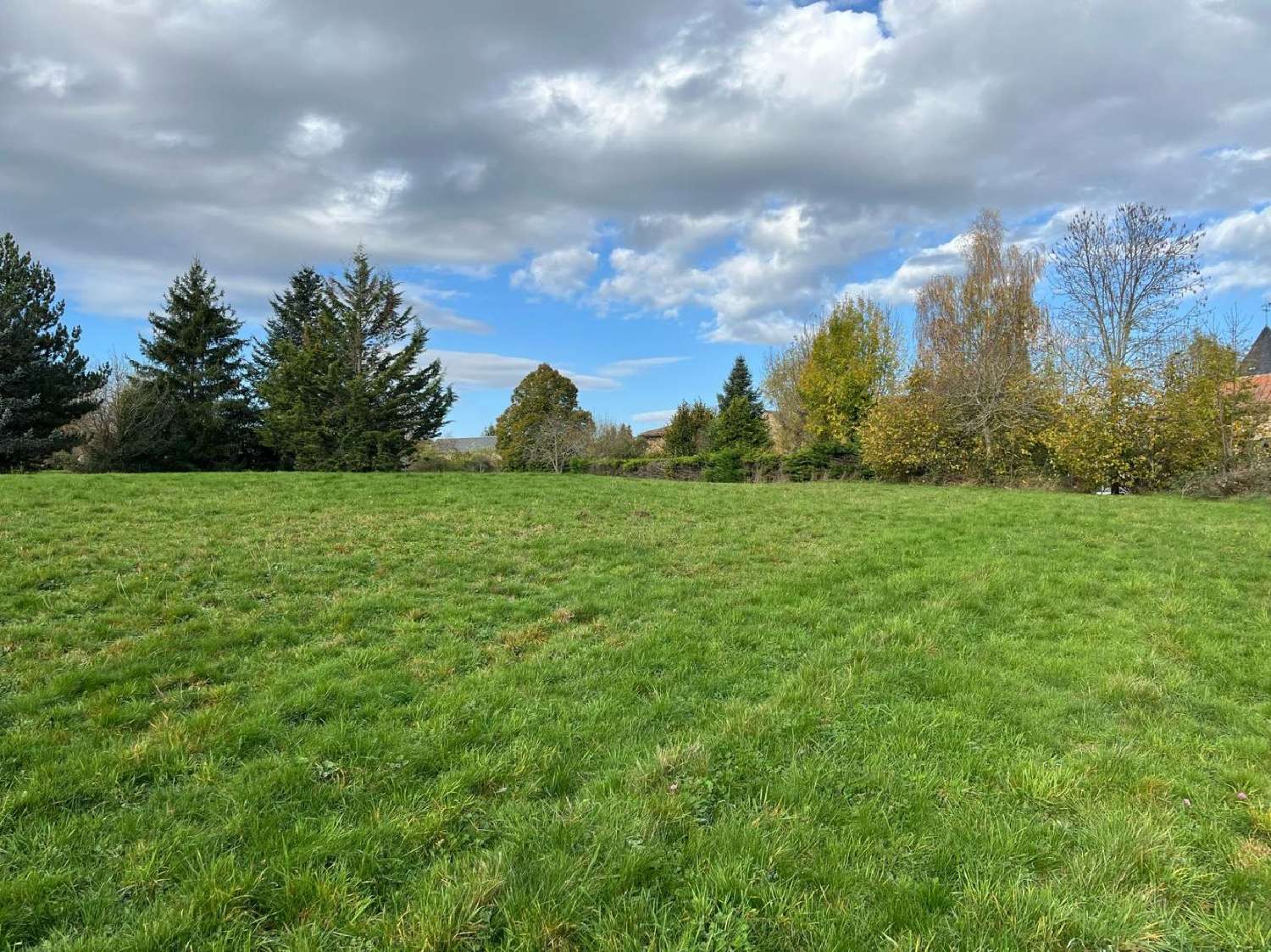  for sale terrain Saint-Mary-le-Plain Cantal 2