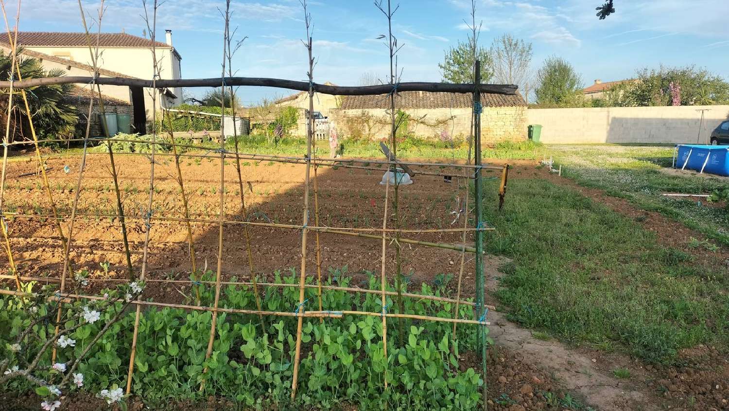  te koop terrein Saint-Pompain Deux-Sèvres 1