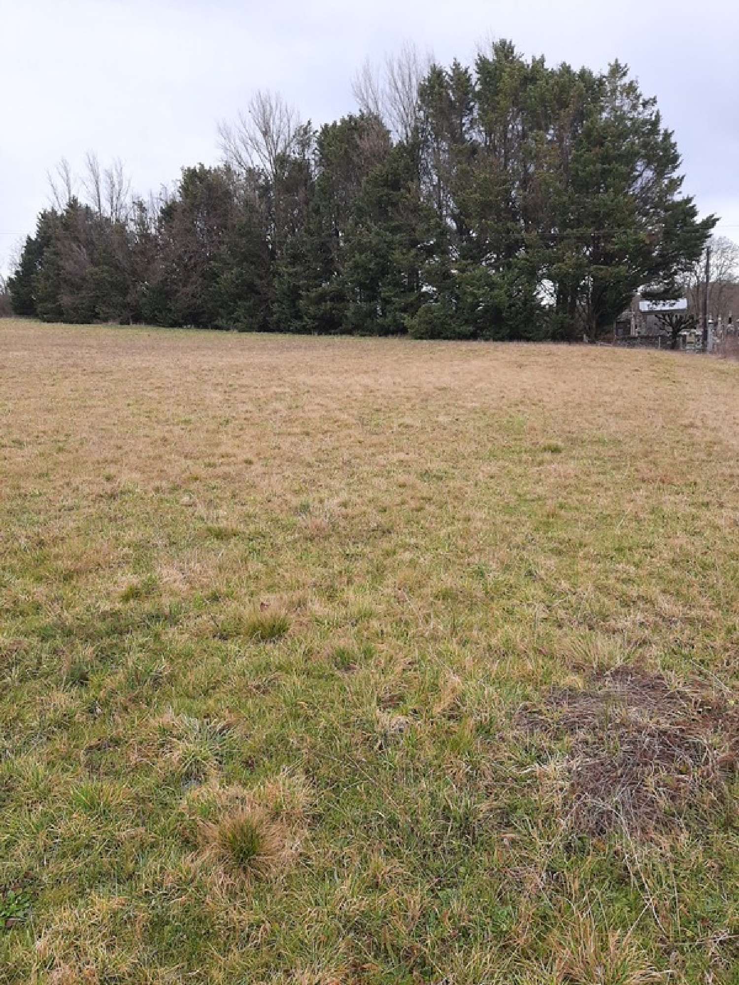  for sale terrain Saint-Priest-Ligoure Haute-Vienne 1