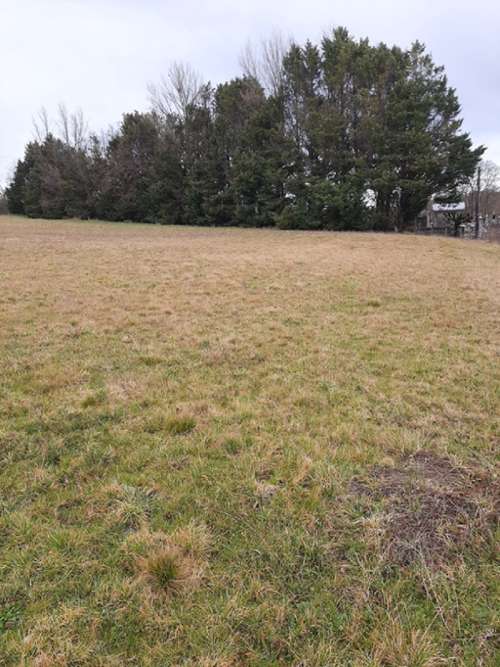 Saint-Priest-Ligoure Haute-Vienne terrain foto 7269990