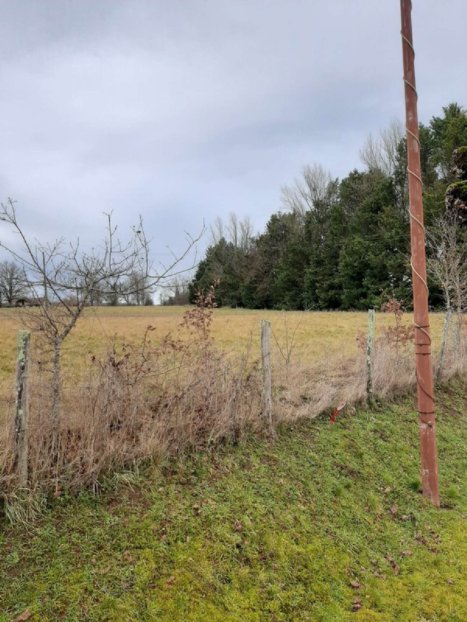  for sale terrain Saint-Priest-Ligoure Haute-Vienne 2