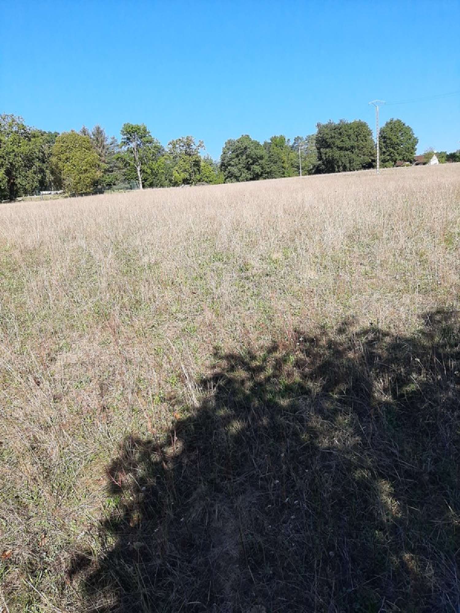  for sale terrain Saint-Priest-Ligoure Haute-Vienne 3