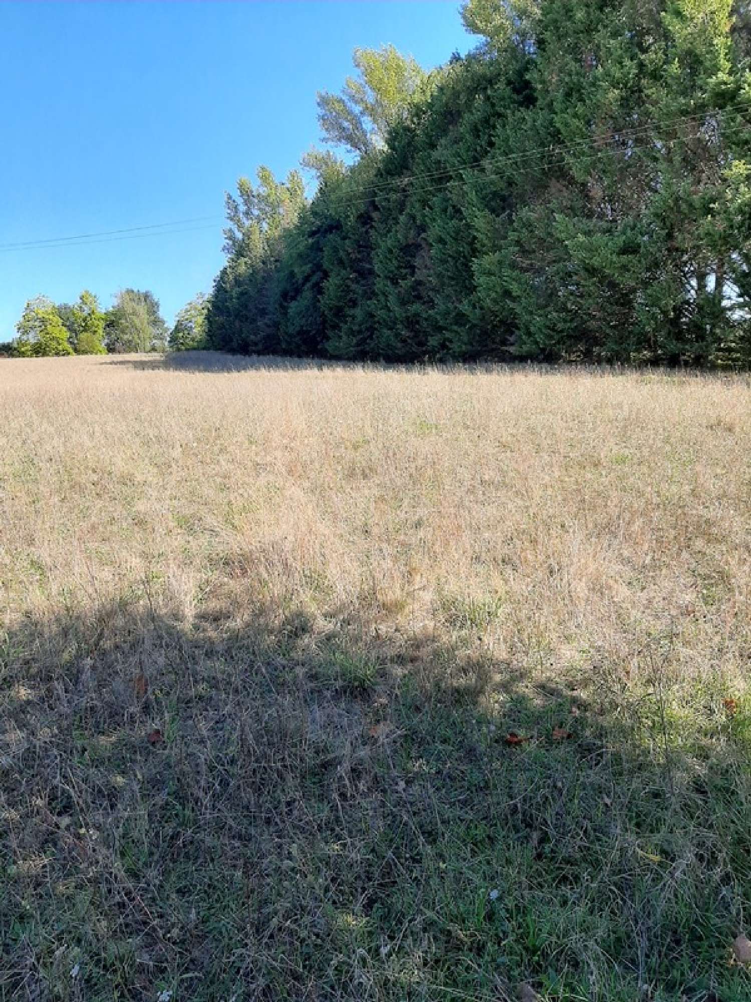  for sale terrain Saint-Priest-Ligoure Haute-Vienne 4