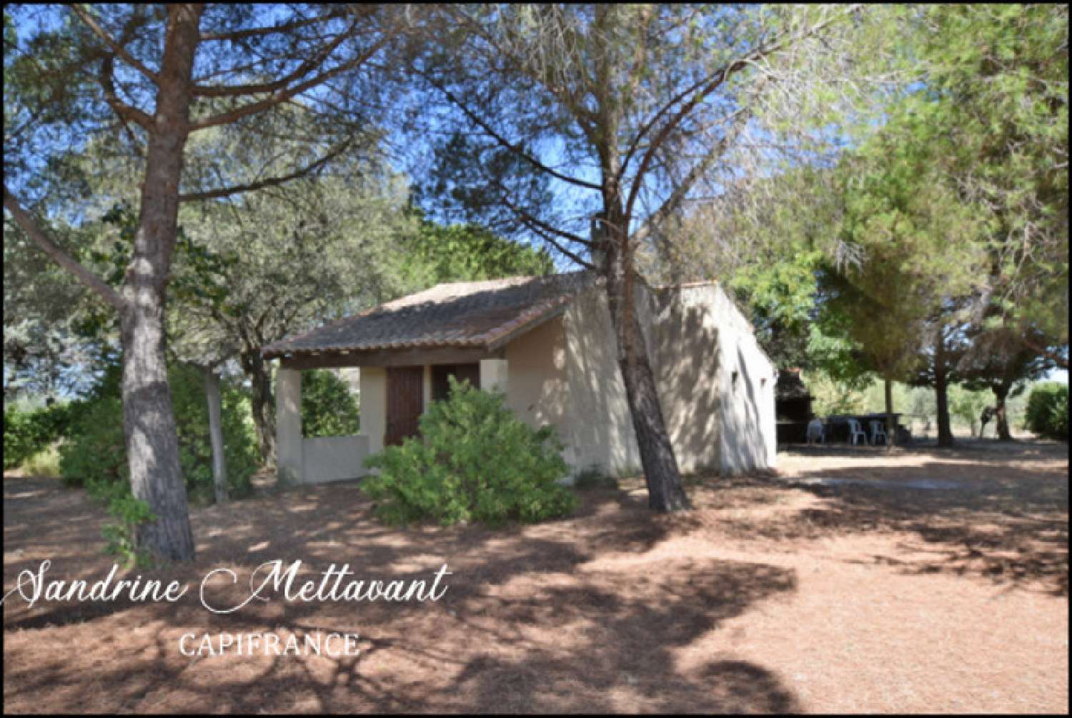  kaufen Grundstück Saint-Thibéry Hérault 3