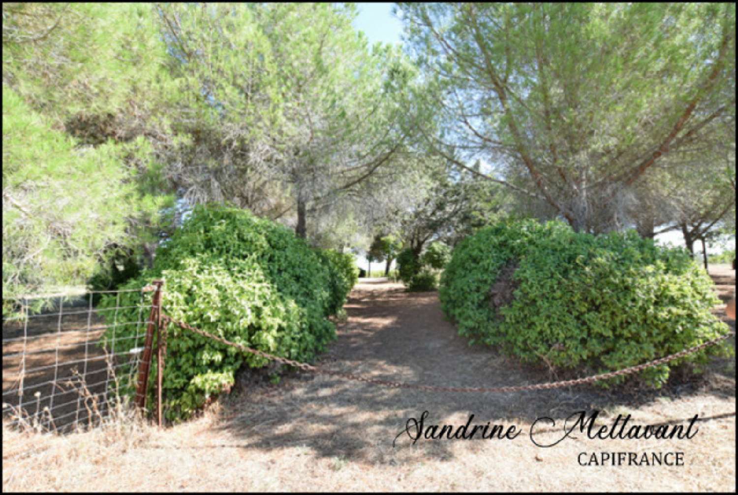  kaufen Grundstück Saint-Thibéry Hérault 4