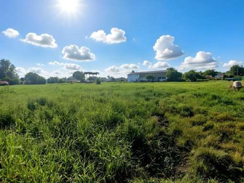 Sainte-Anne Guadeloupe terrein foto 7269849