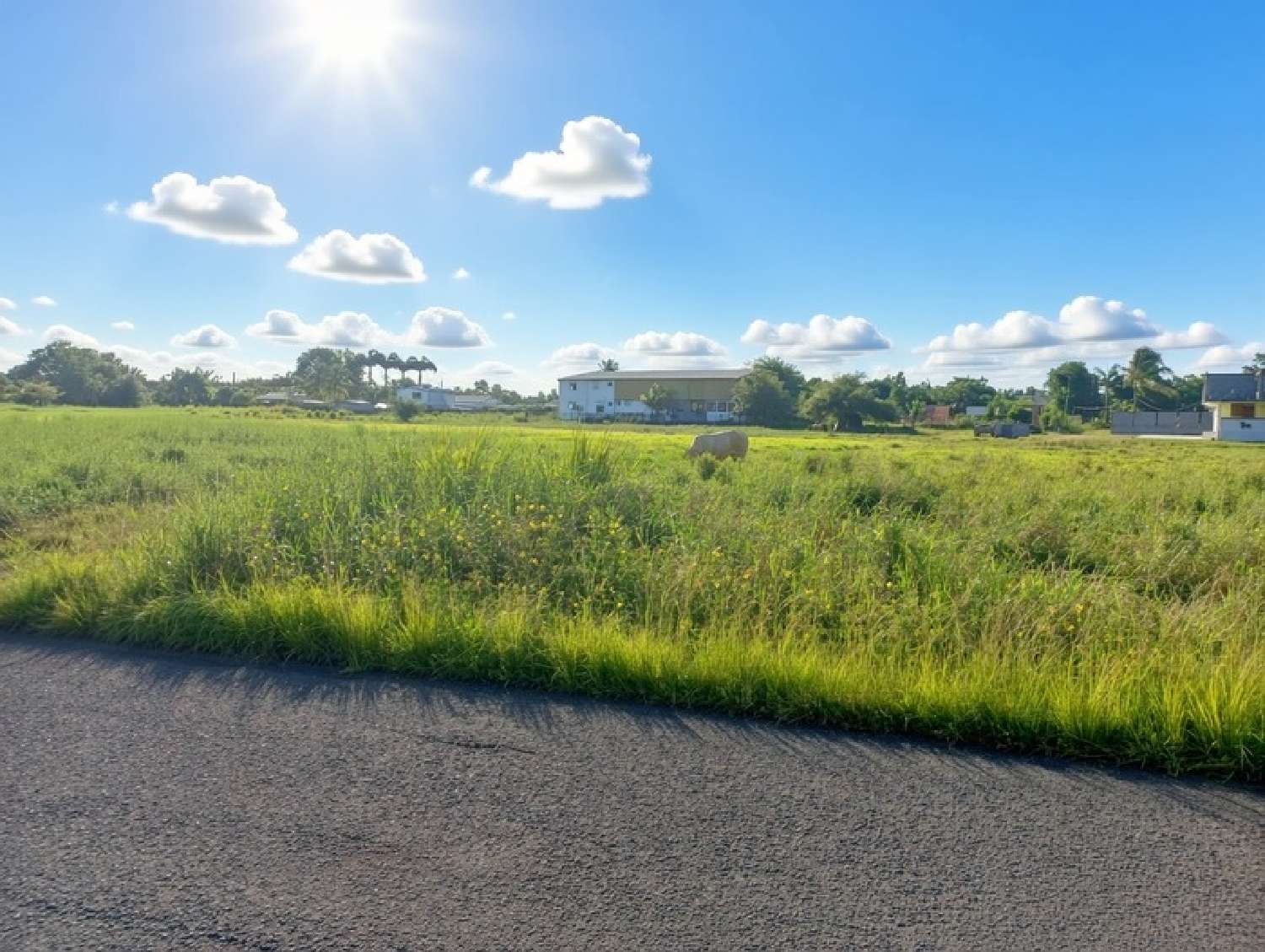  te koop terrein Sainte-Anne Guadeloupe 3