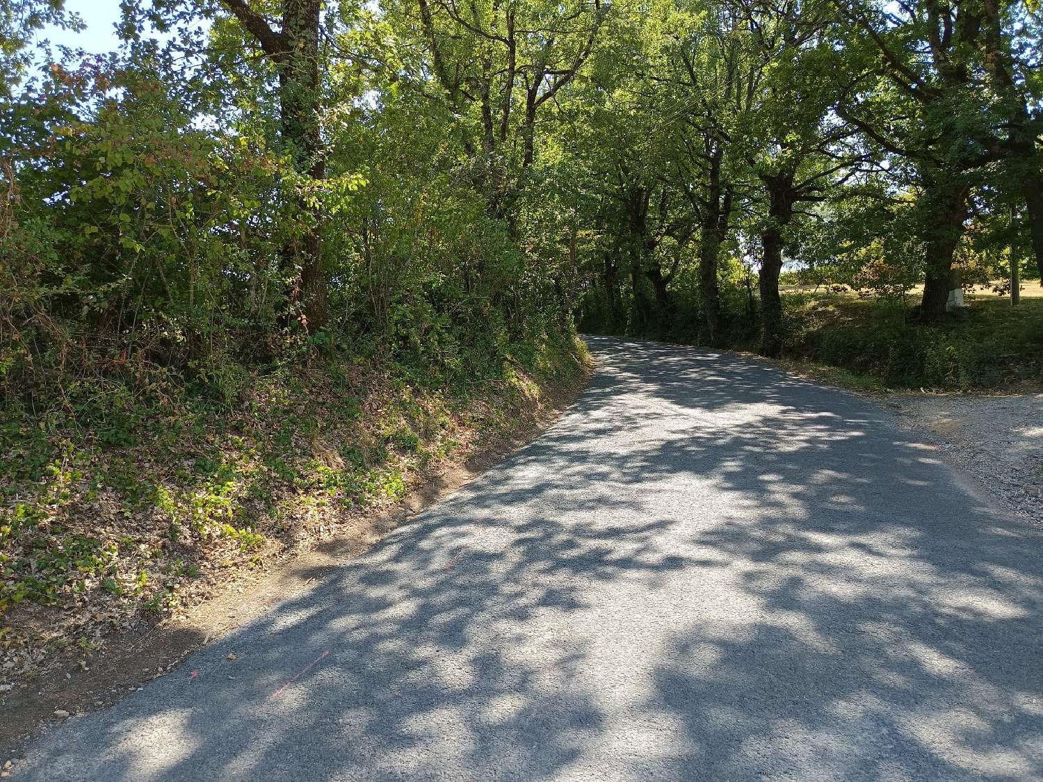  kaufen Grundstück Saix Tarn 1