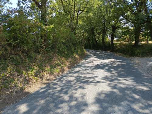 Saix Tarn Grundstück Bild 7263060