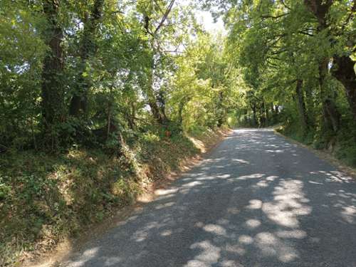 Saix Tarn Grundstück Bild 7263061