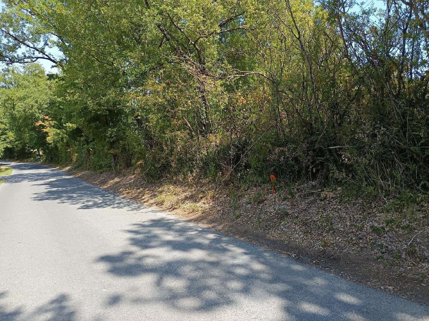  kaufen Grundstück Saix Tarn 3