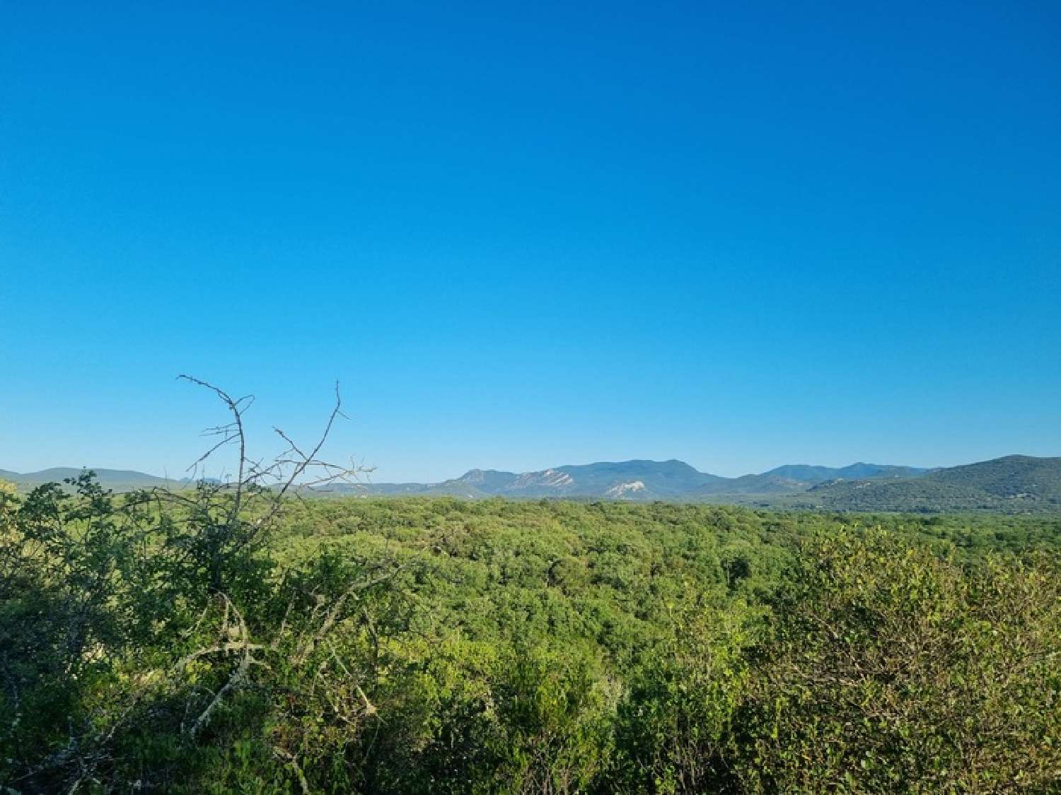 te koop terrein Sauve Gard 1