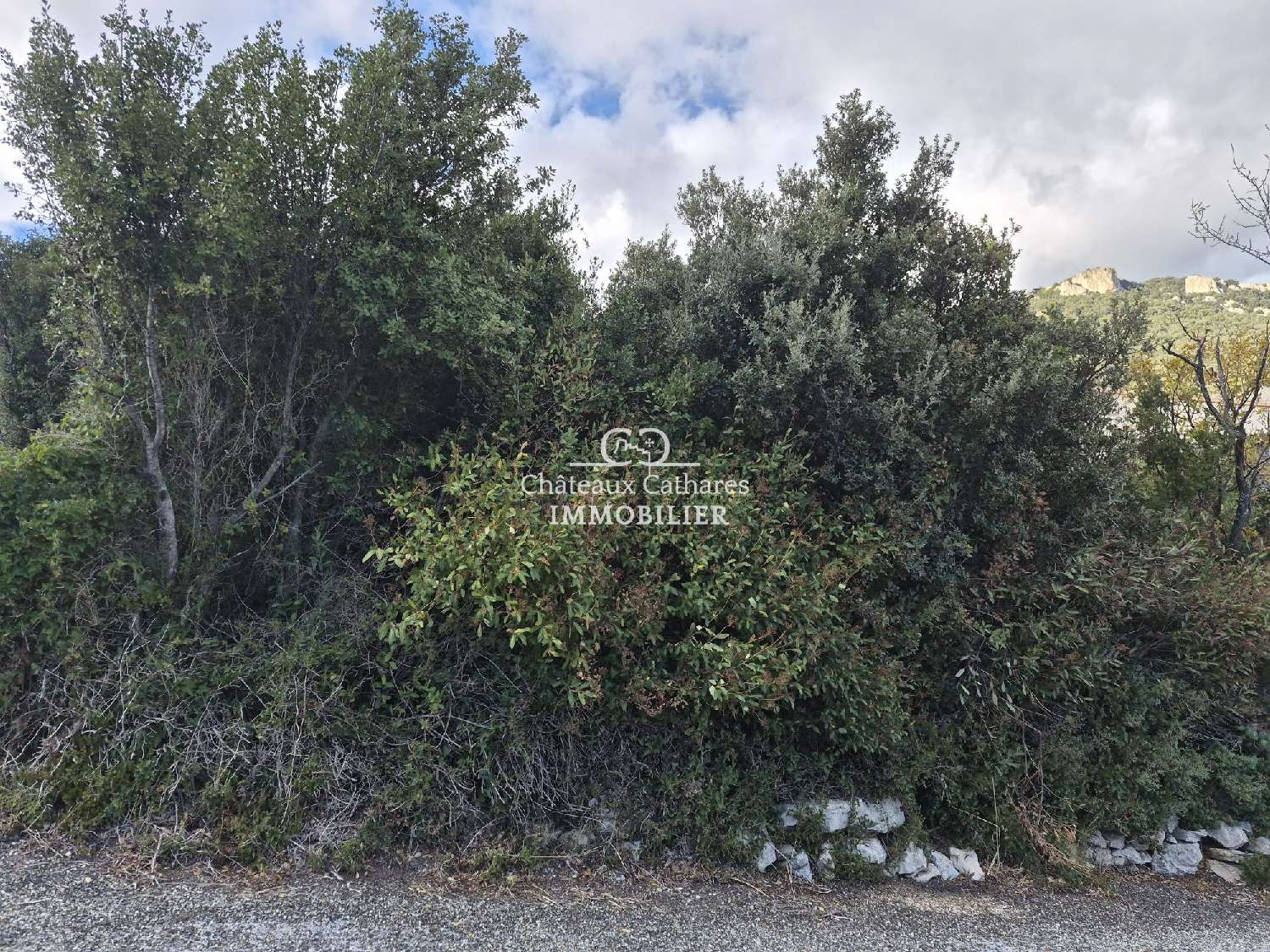  à vendre terrain Soulatgé Aude 2