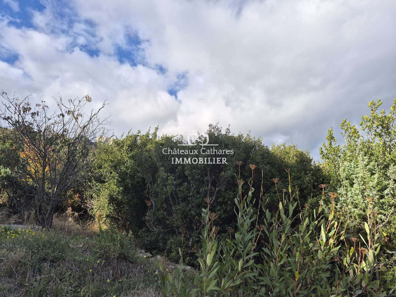 à vendre terrain Soulatgé Aude 6
