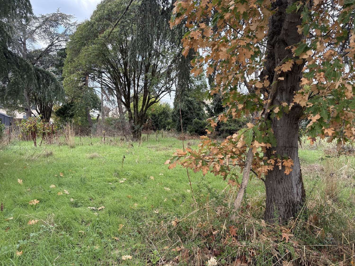  kaufen Grundstück Vayres Gironde 1