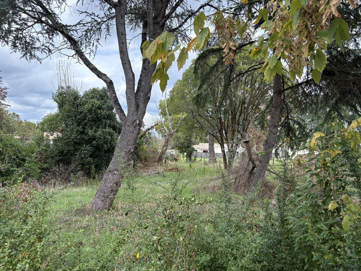  kaufen Grundstück Vayres Gironde 2