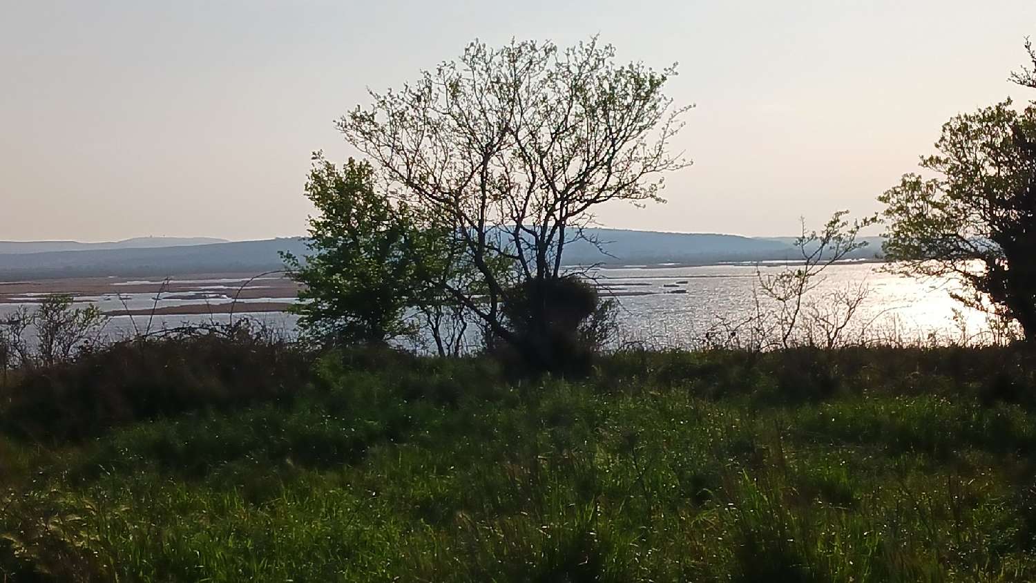 kaufen Grundstück Vendres Hérault 1