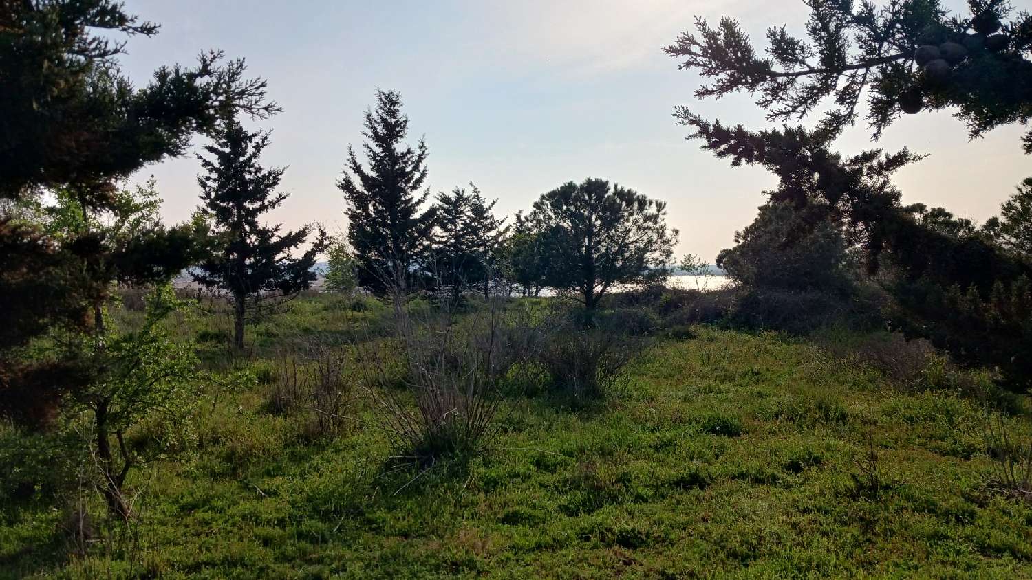 kaufen Grundstück Vendres Hérault 2