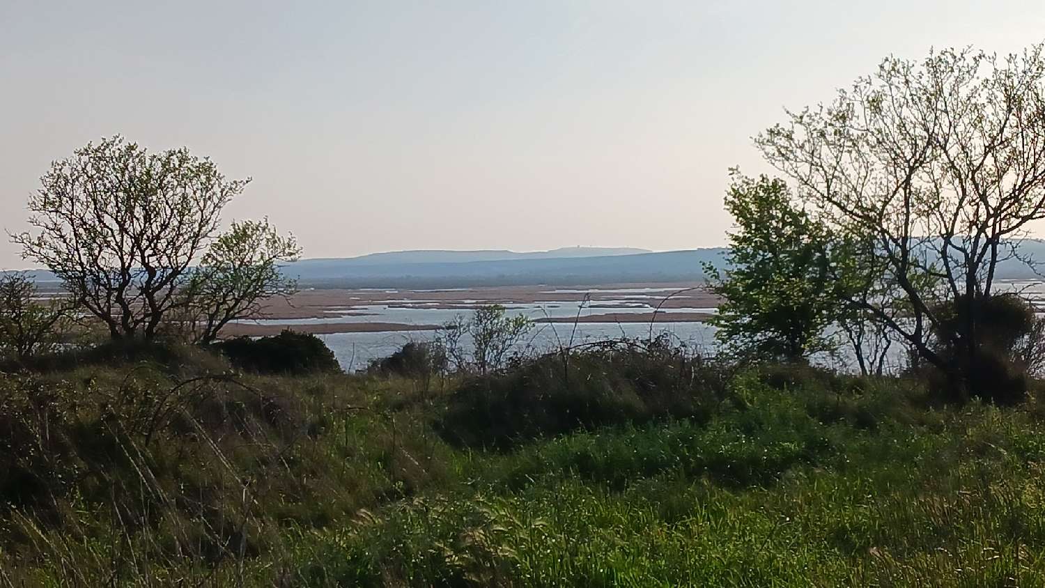 kaufen Grundstück Vendres Hérault 4