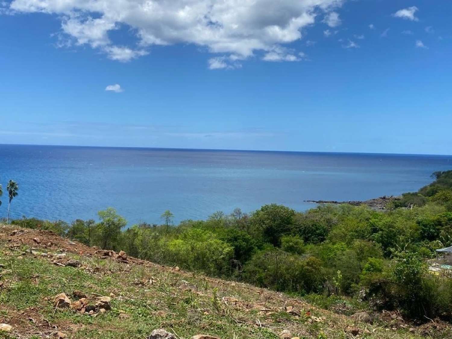  te koop terrein Vieux-Habitants Guadeloupe 1