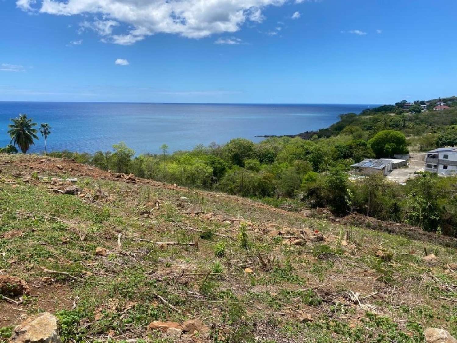  te koop terrein Vieux-Habitants Guadeloupe 3