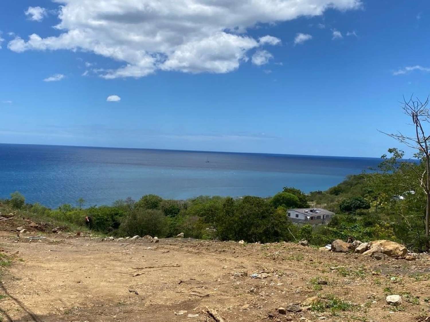  te koop terrein Vieux-Habitants Guadeloupe 4