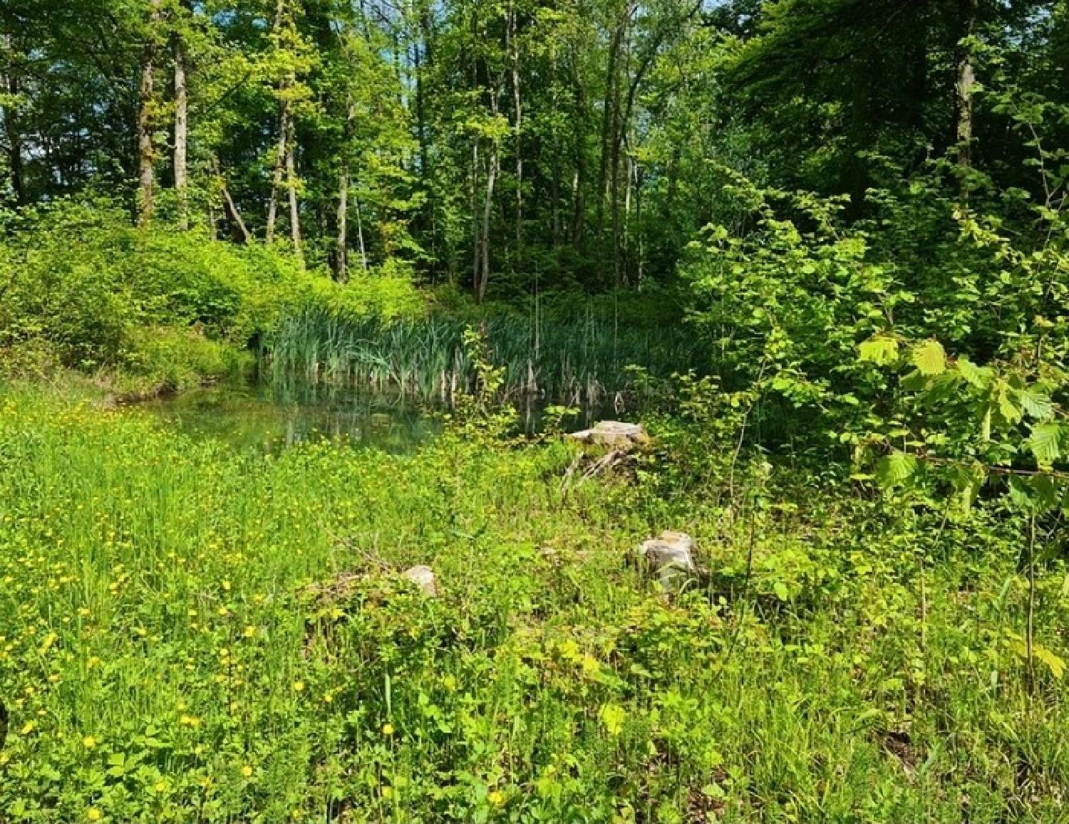  for sale terrain Vittel Vosges 2