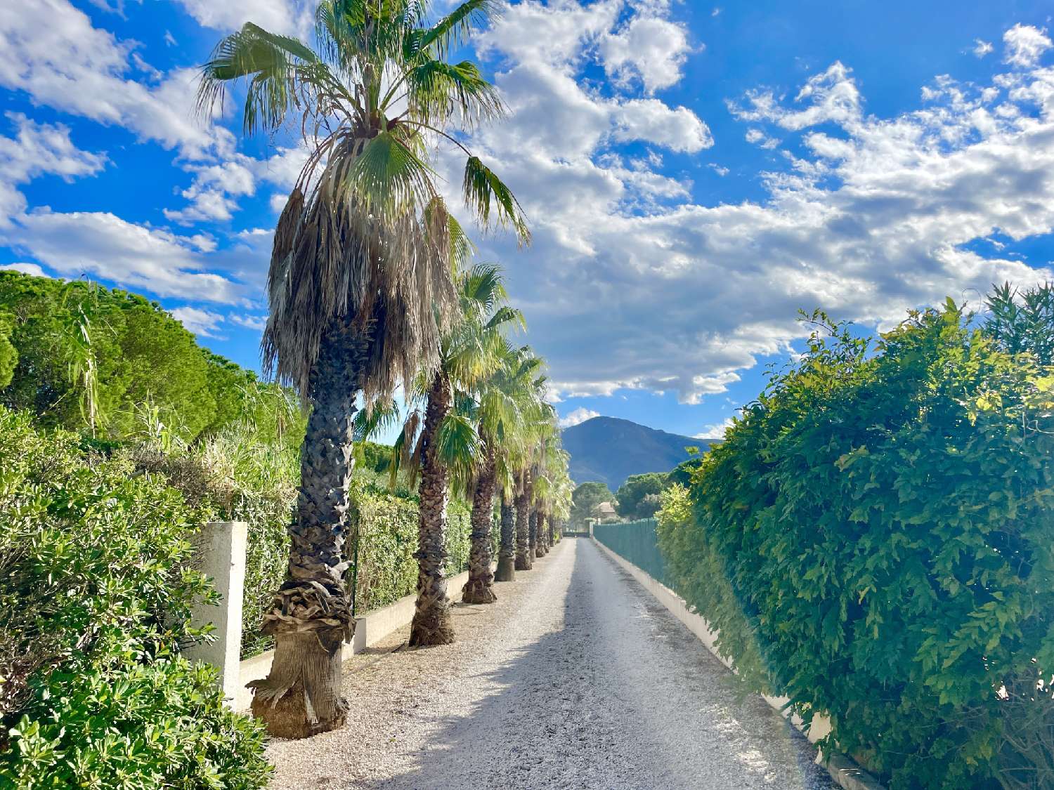  te koop villa Saint-André Pyrénées-Orientales 6