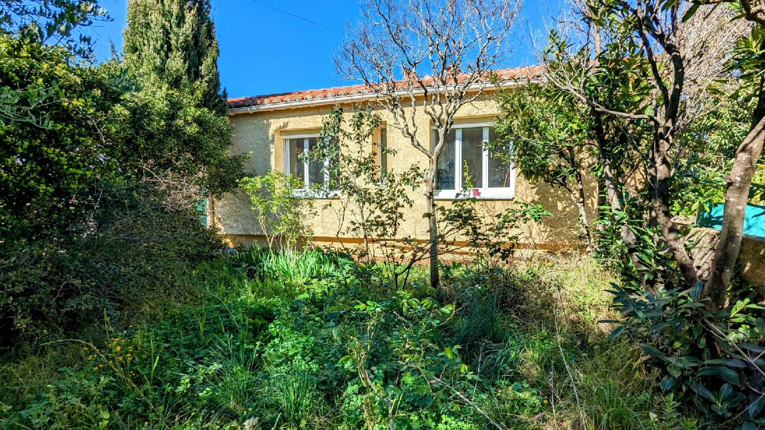  te koop villa Saint-André Pyrénées-Orientales 3