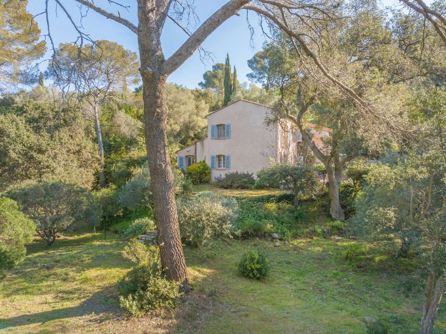  te koop villa Anthéor Var 7