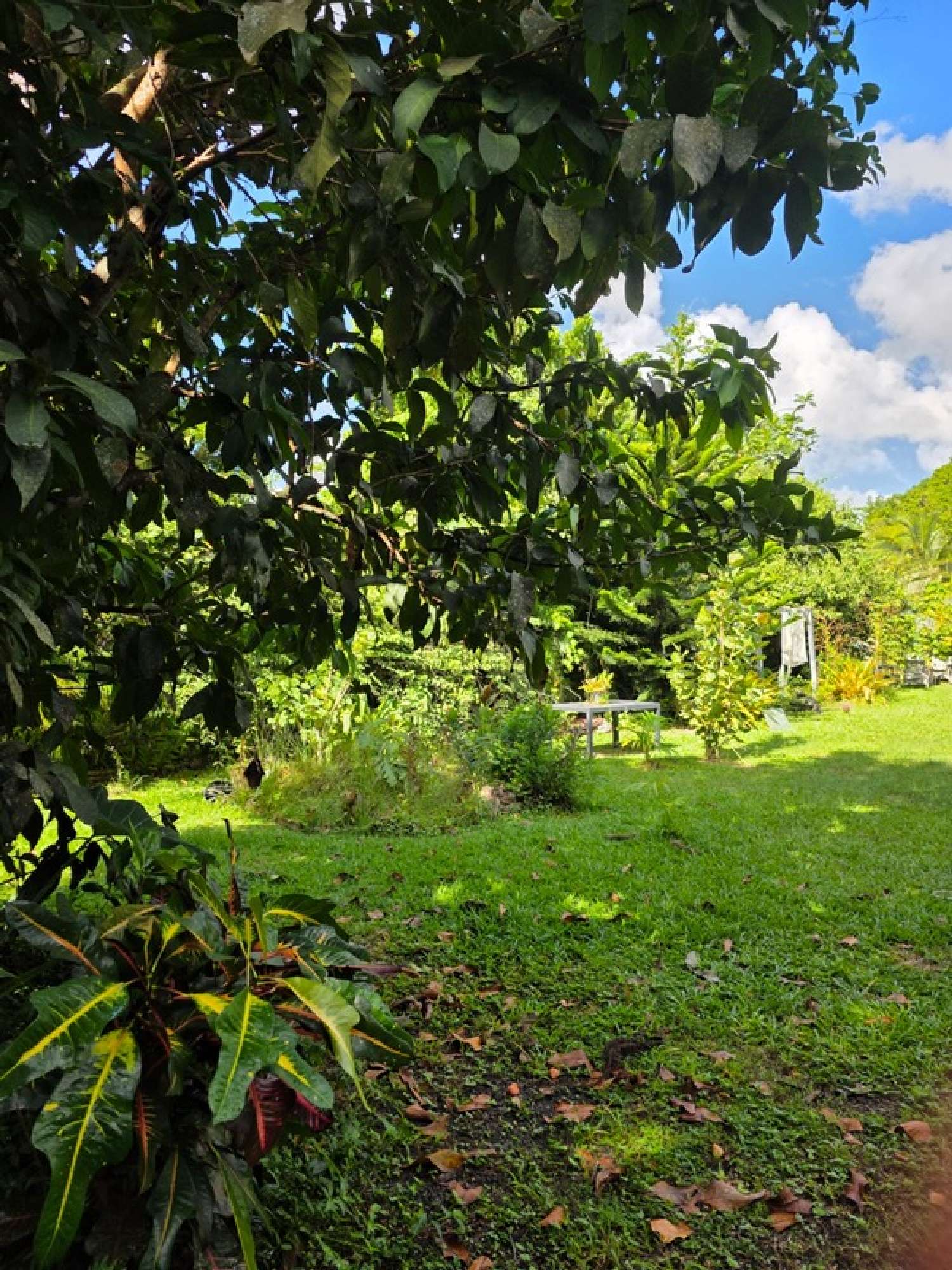  for sale villa Baie-Mahault Guadeloupe 3