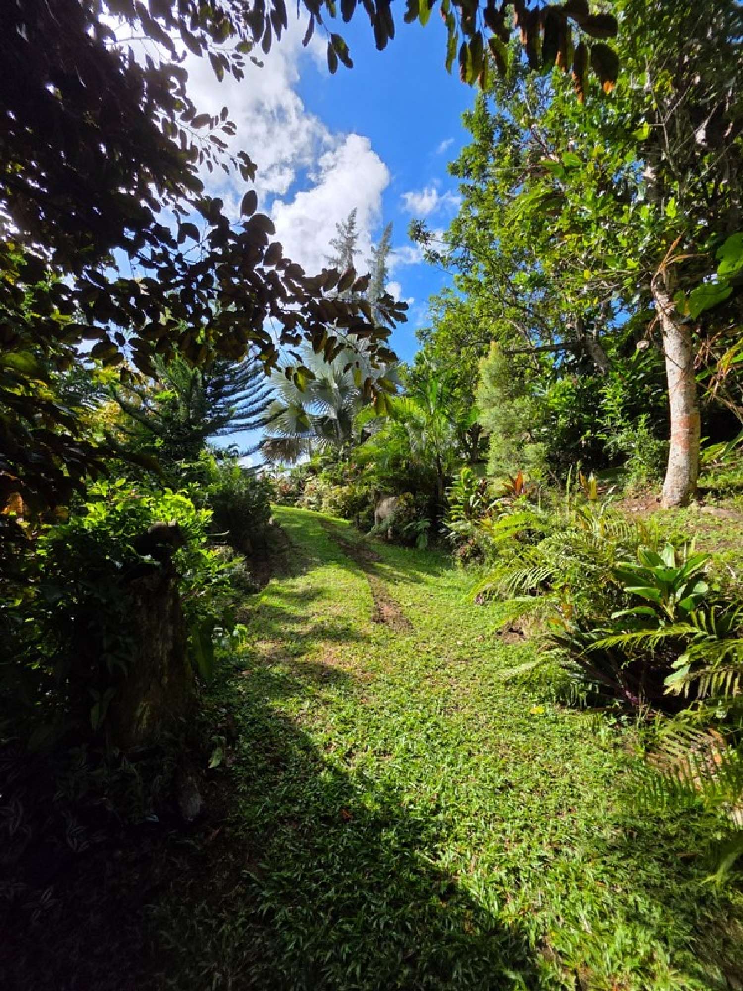  for sale villa Baie-Mahault Guadeloupe 5