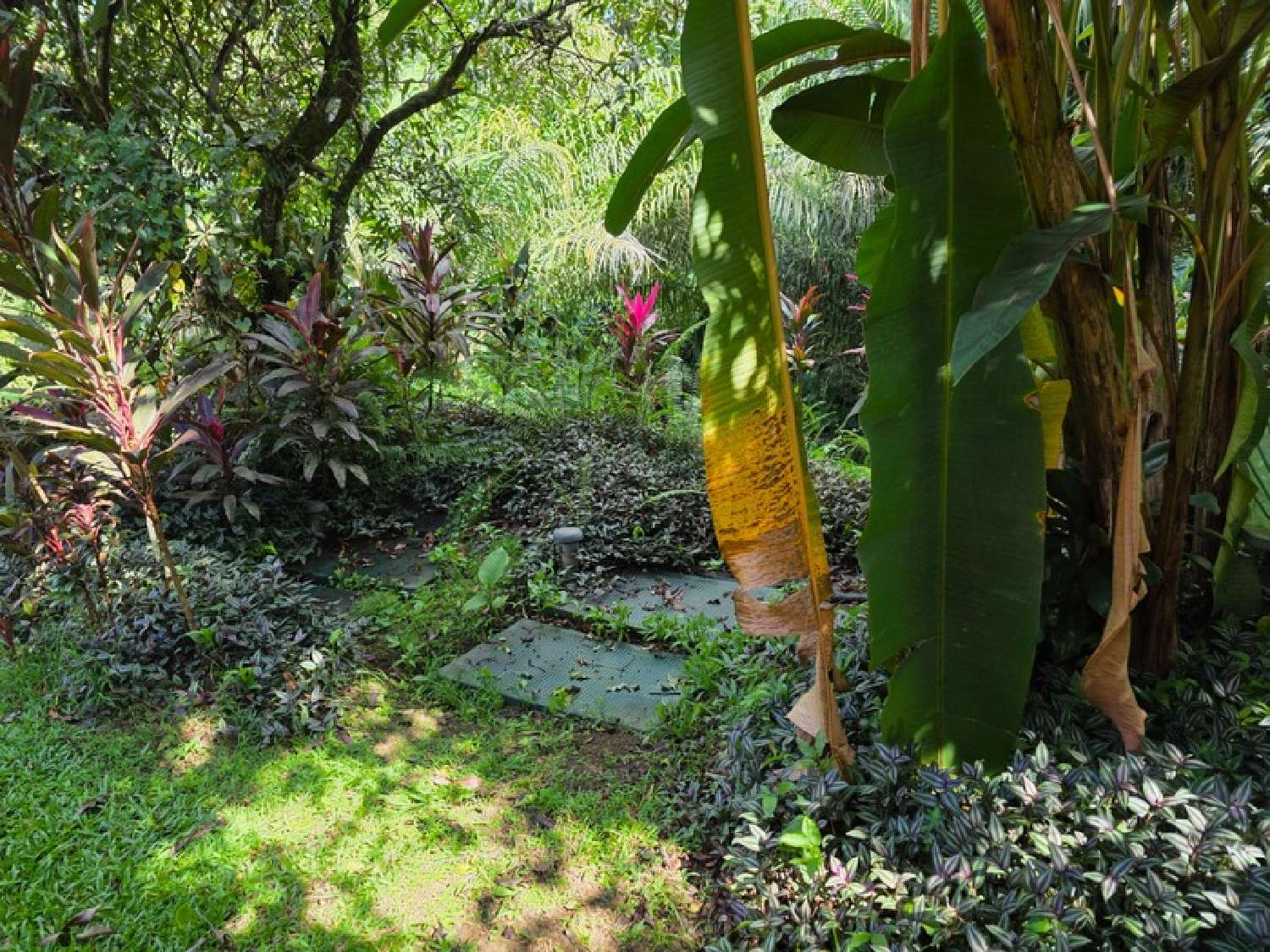  for sale villa Baie-Mahault Guadeloupe 6