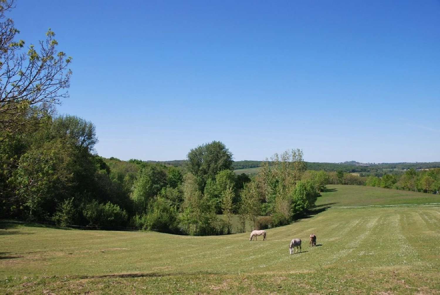  en venta villa Bergerac Dordoña 2