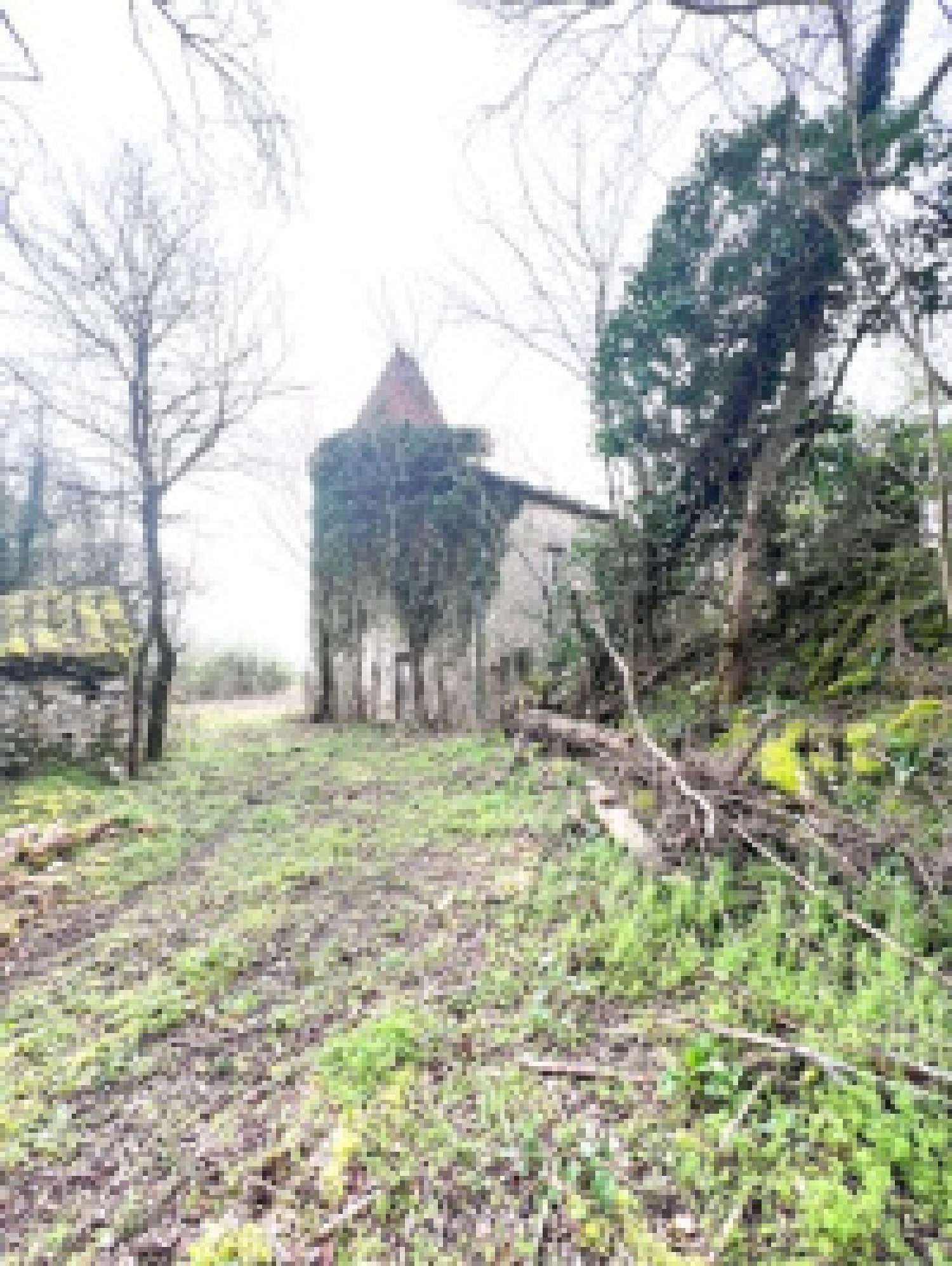  te koop villa Bourlens Lot-et-Garonne 1