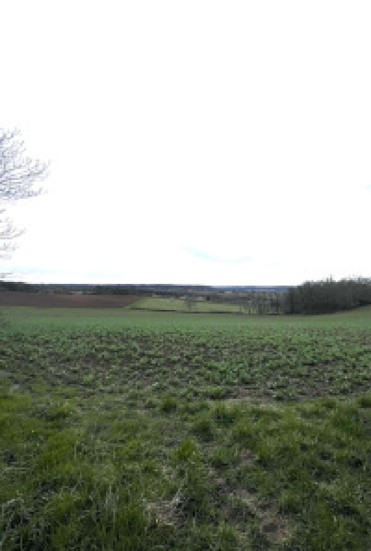  te koop villa Bourlens Lot-et-Garonne 3