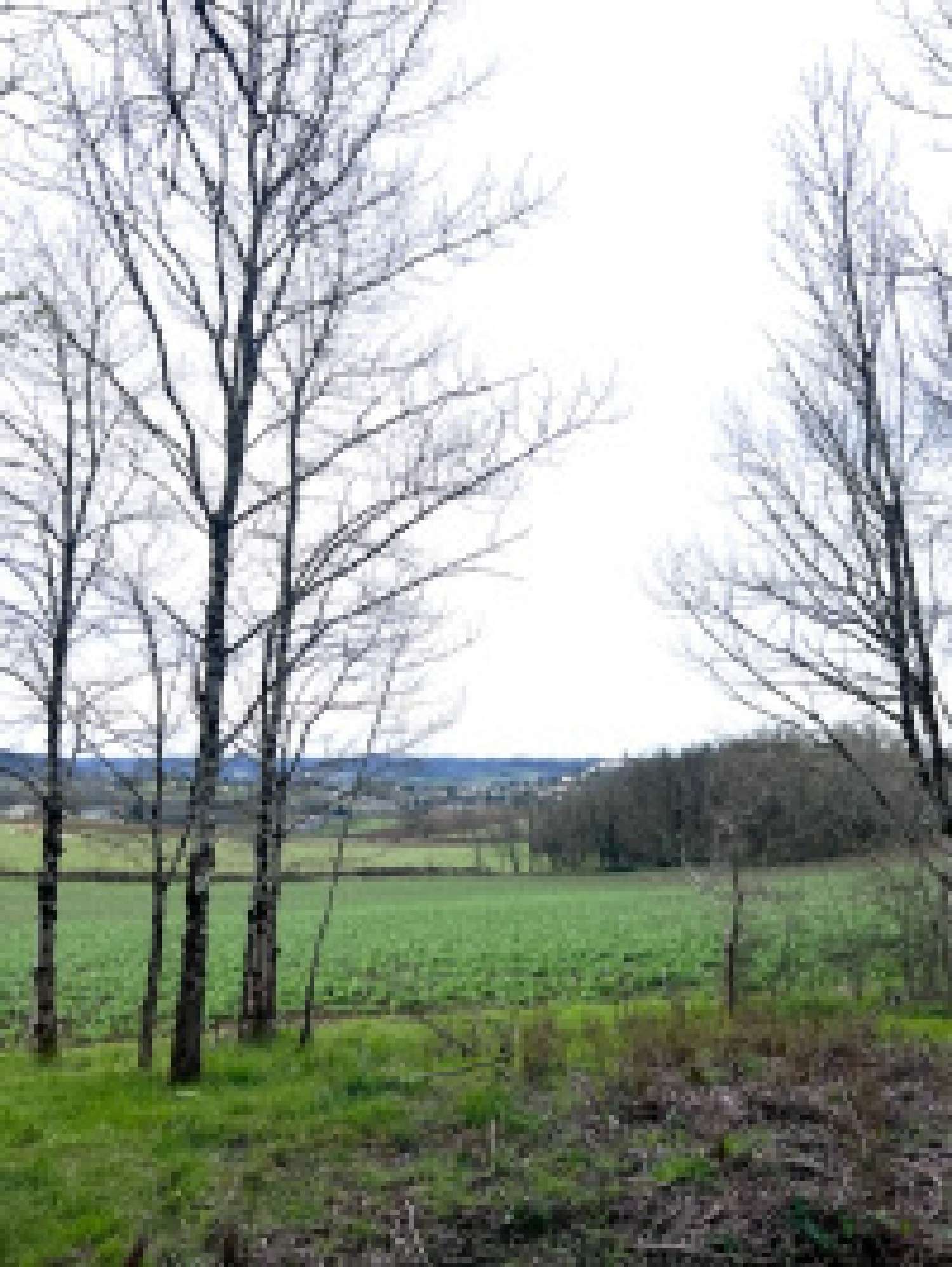  te koop villa Bourlens Lot-et-Garonne 4