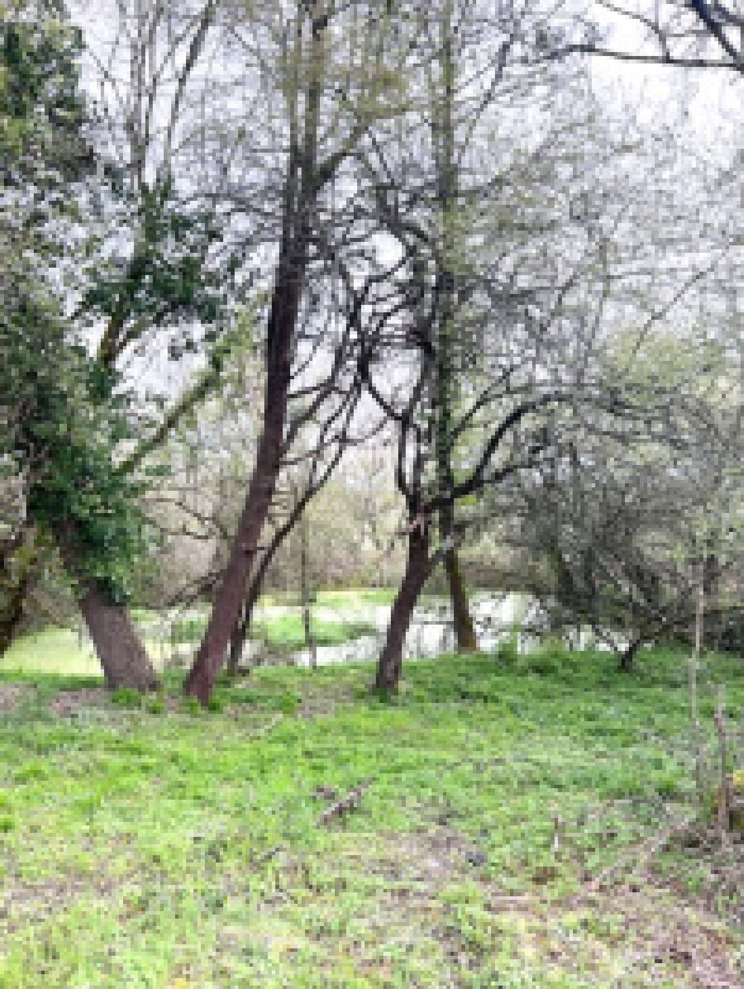  te koop villa Bourlens Lot-et-Garonne 5