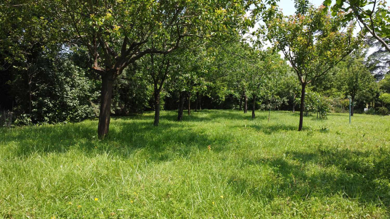 te koop villa Castelnau-de-Montmiral Tarn 5