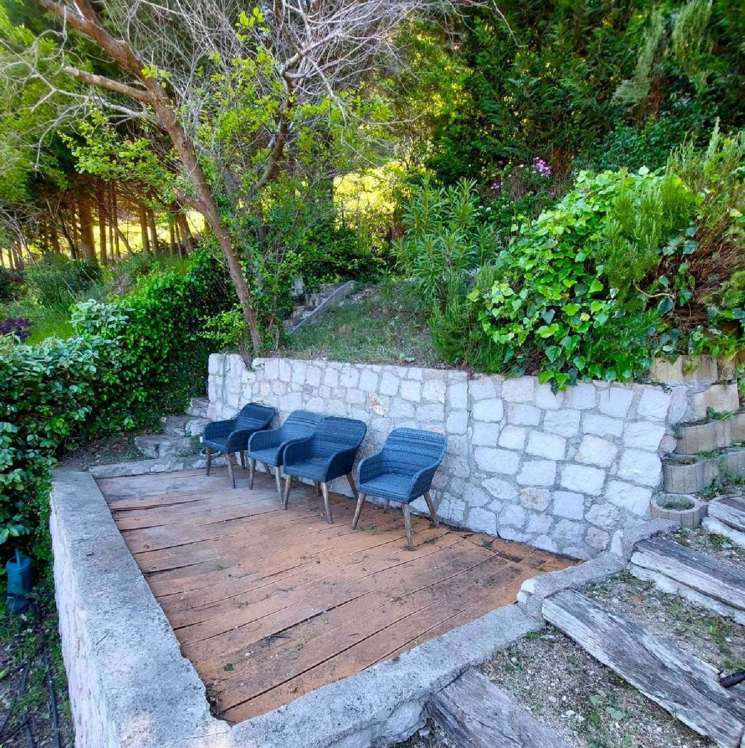  te koop villa Éze Alpes-Maritimes 8