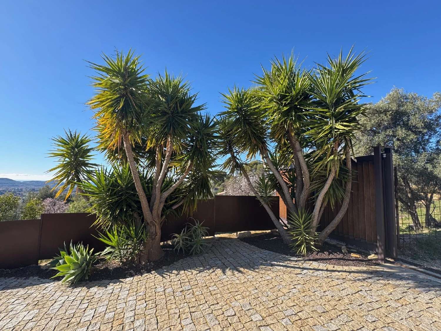  à vendre villa La Cadière-d'Azur Var 6