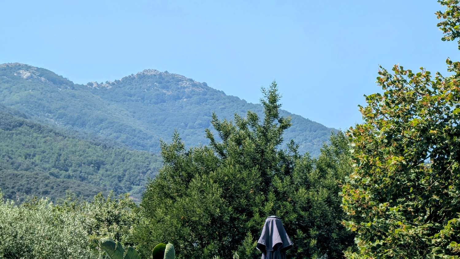  en venta villa Laroque-des-Albères Pirineo Oriental 2