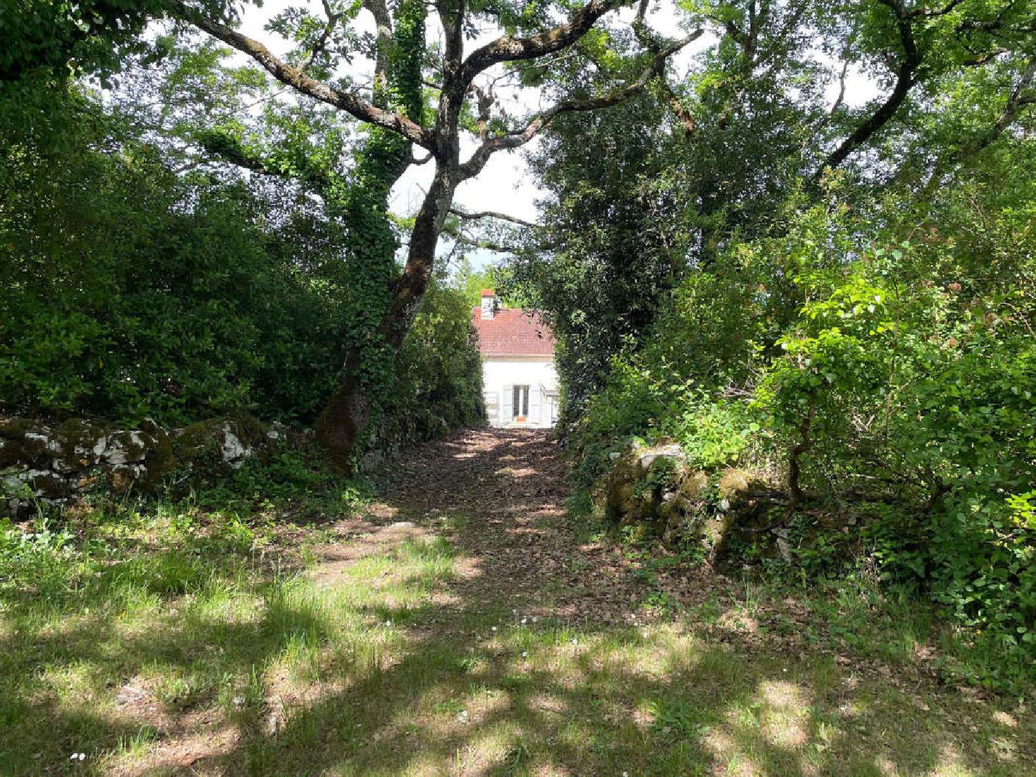  en venta villa Laroque-Timbaut Lot-et-Garonne 7