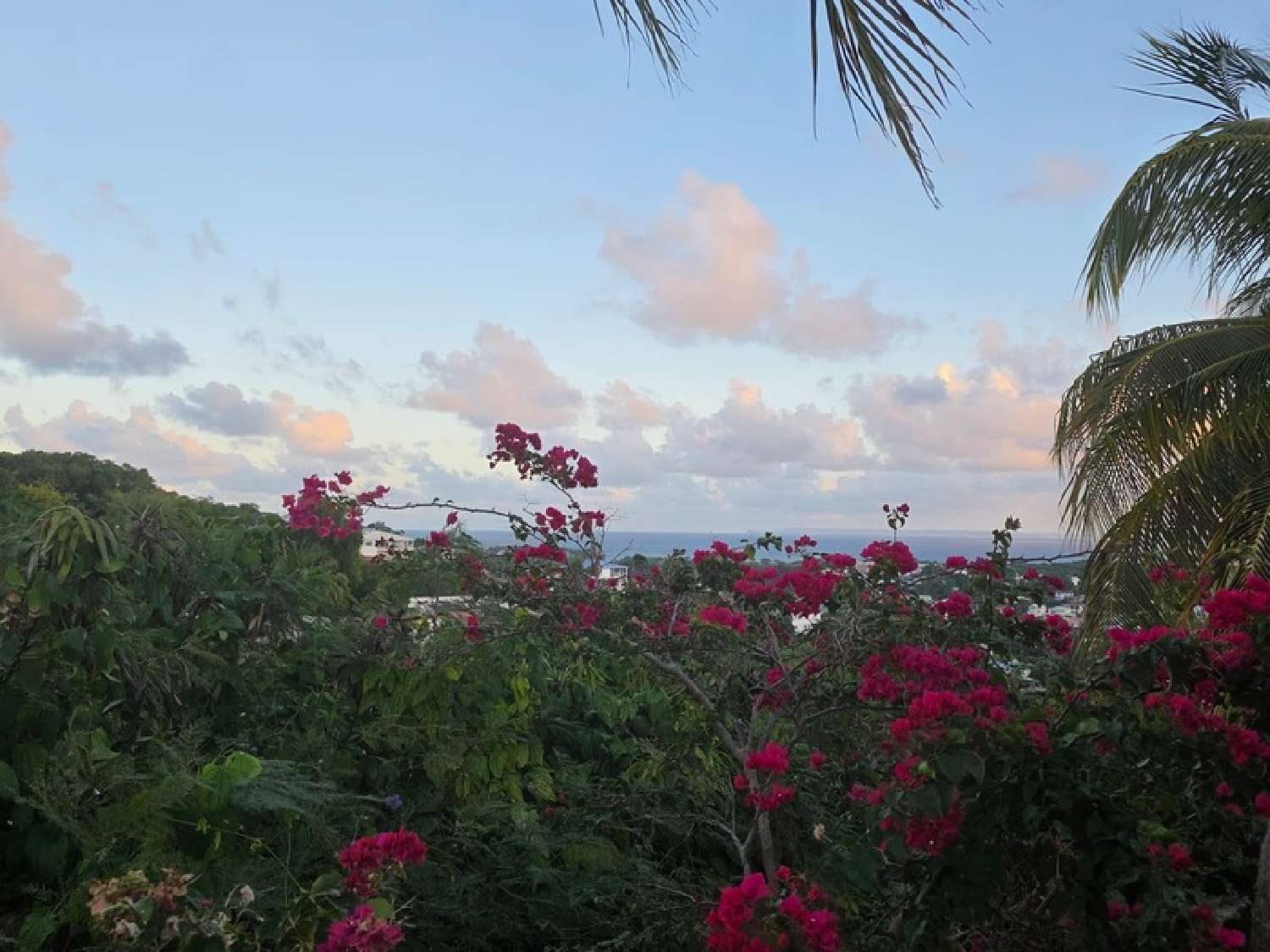  kaufen Villa Le Gosier Guadeloupe 1