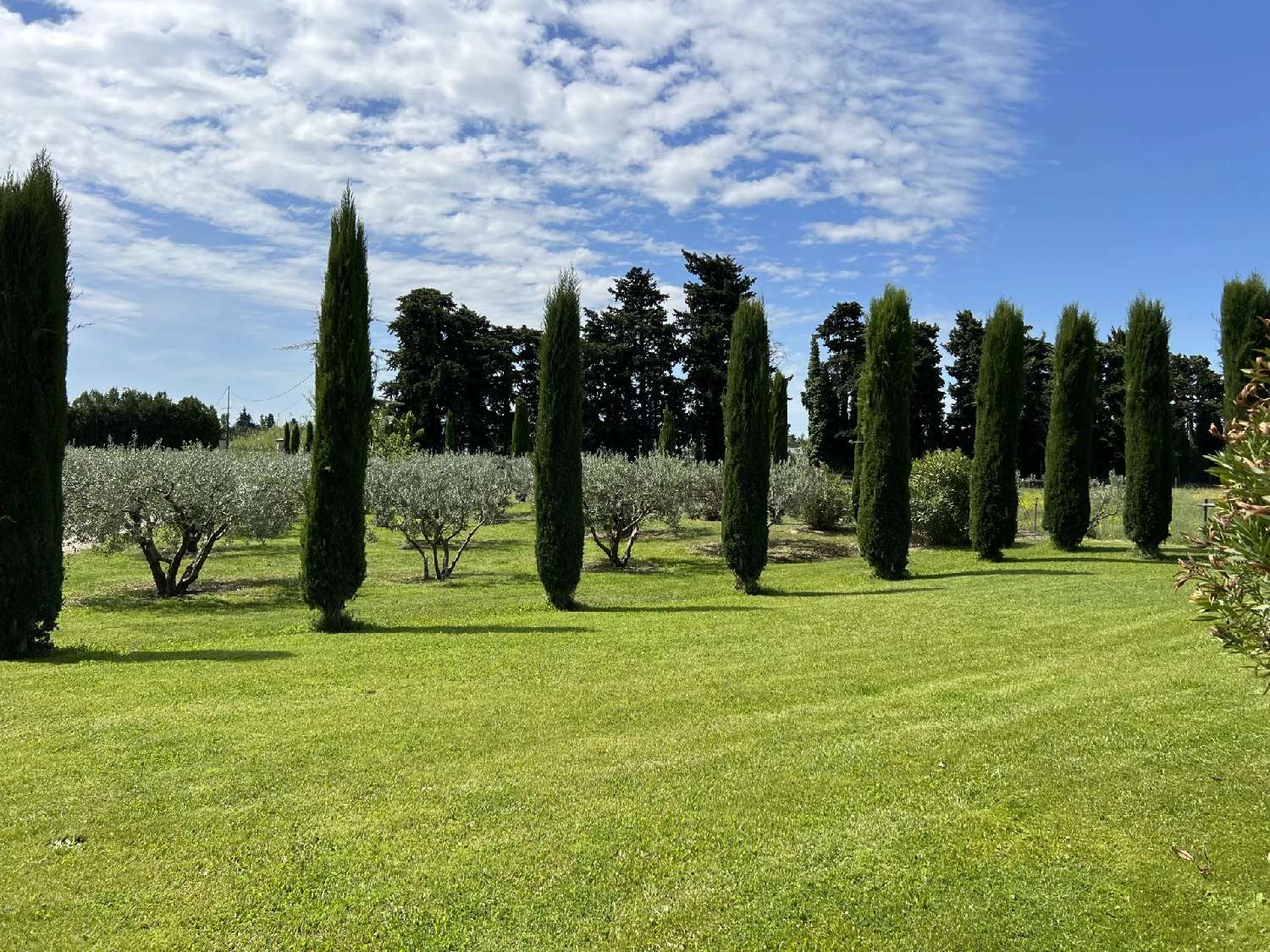 à vendre villa Le Pontet Vaucluse 5