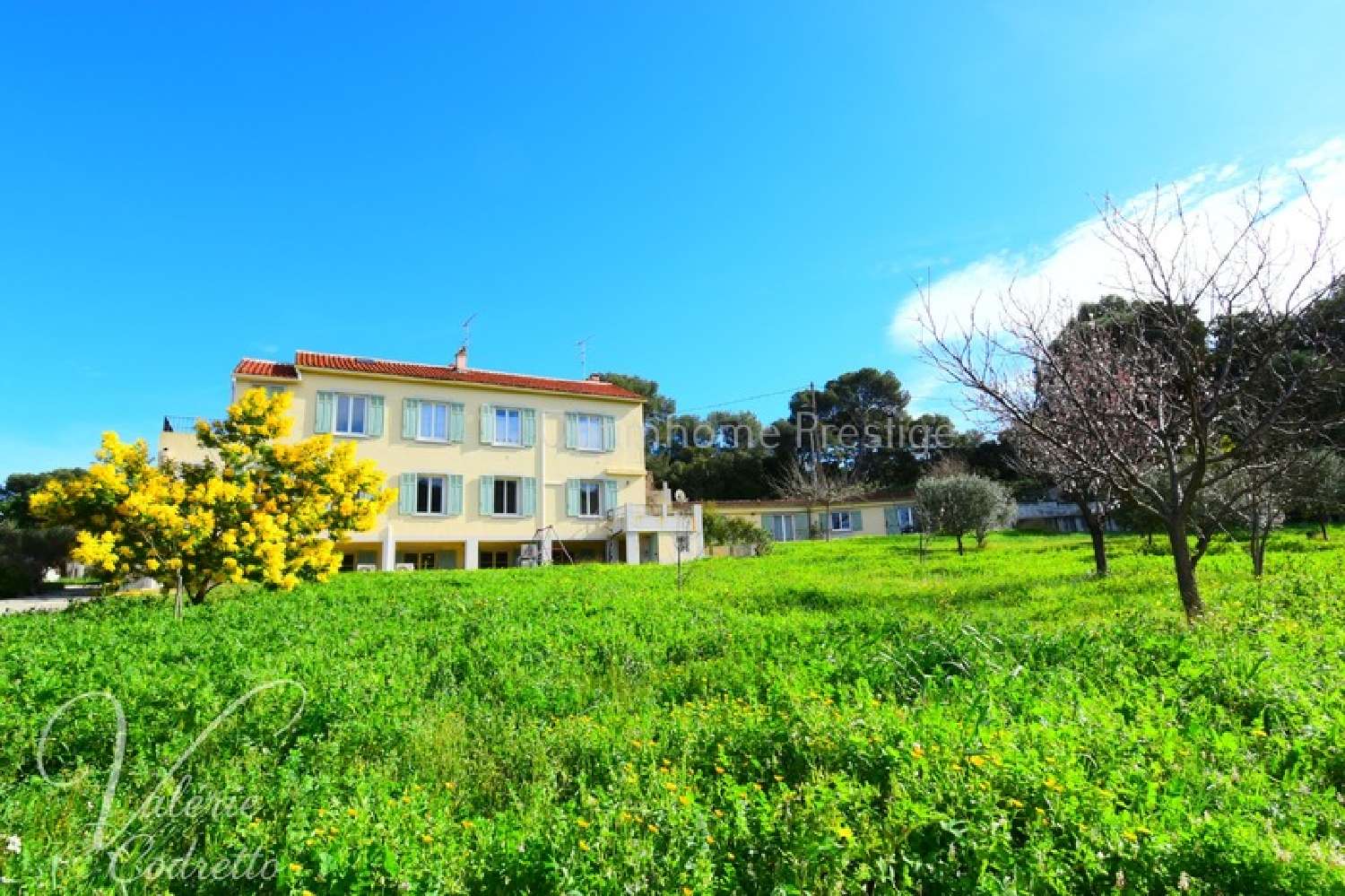  for sale villa Le Pradet Var 1