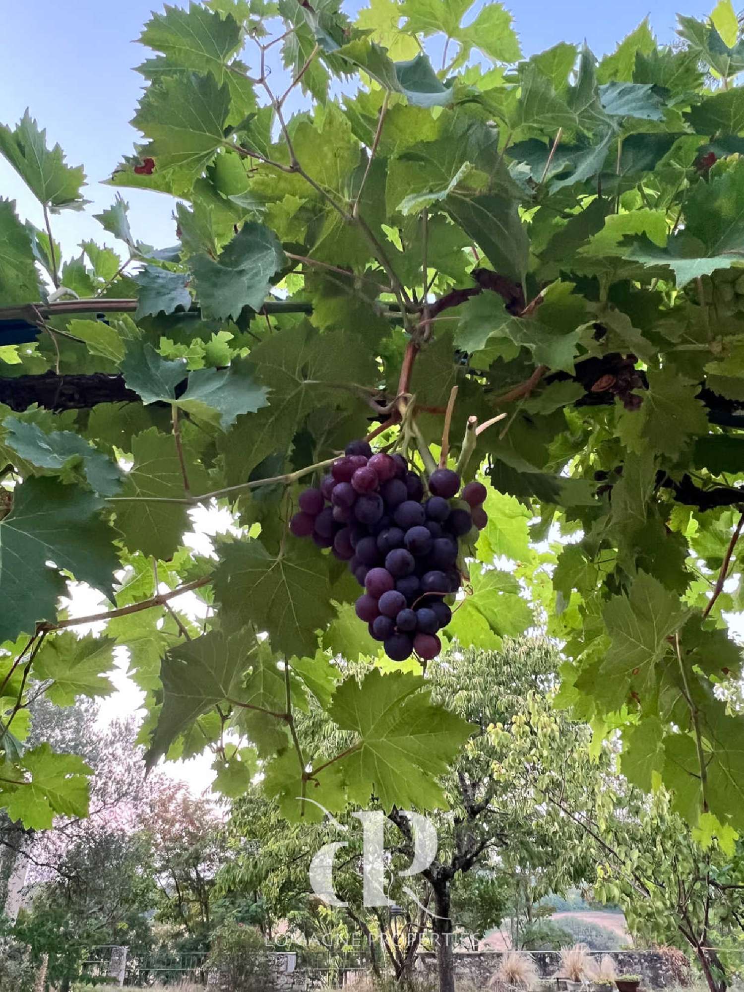 en venta villa Lectoure Gers 4