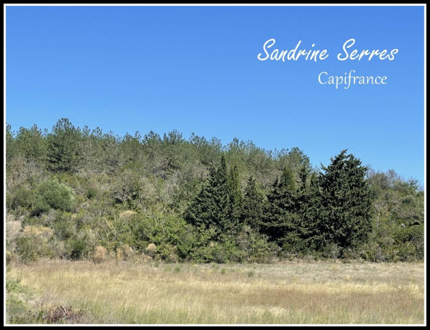 te koop villa Malviès Aude 6