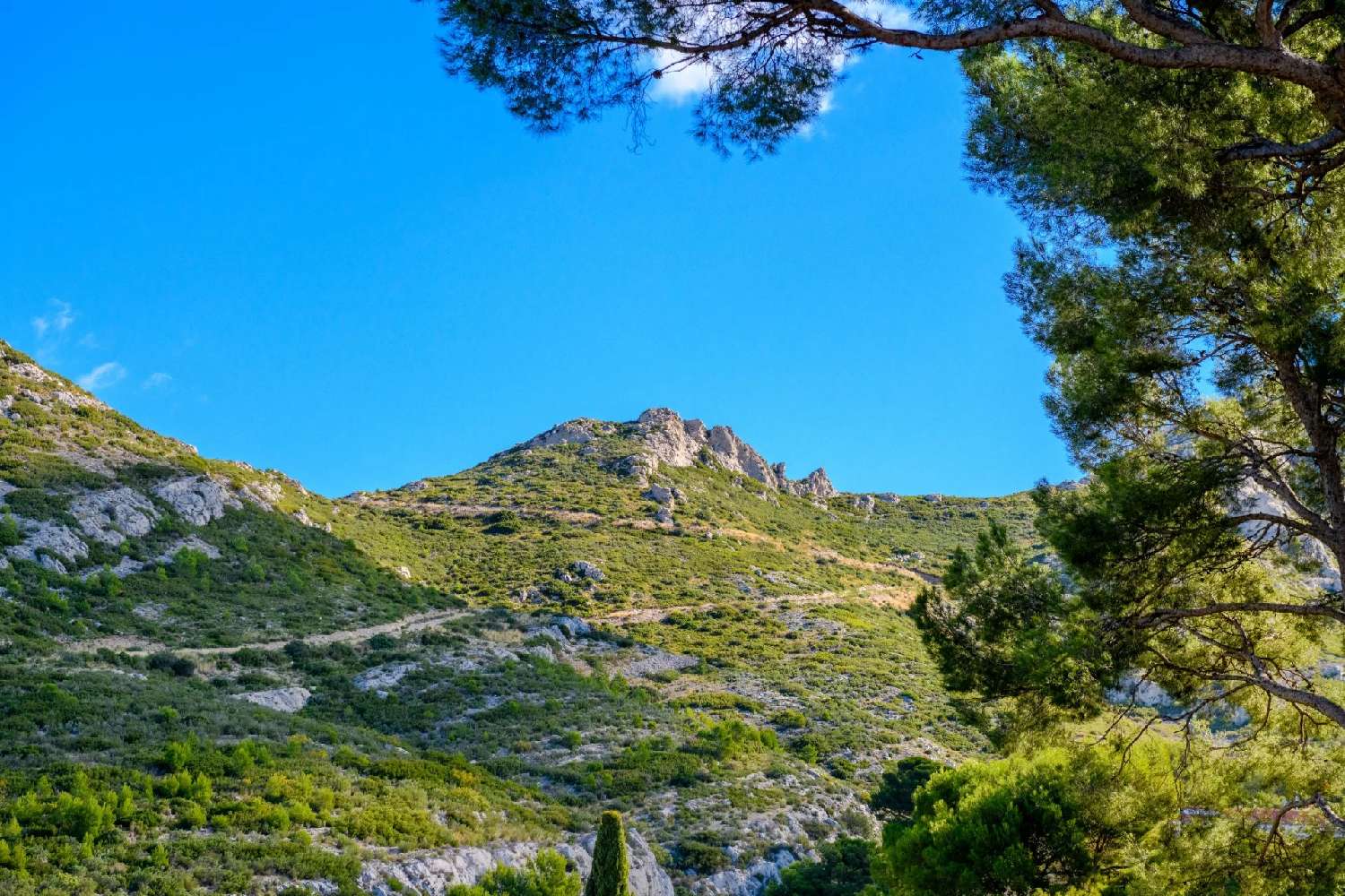  te koop villa Marseille Bouches-du-Rhône 2